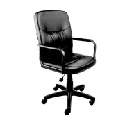 Кресло для руководителя пластик/эко-кожа AV205 черный