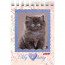 Блокнот А7 мягкая обложка на гребне 40 листов (Hatber) Котята клетка арт 40Б7B1гр - my_219276