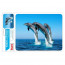 Коврик для мыши BURO BU-M40083  рисунок дельфины - 