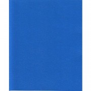 Тетрадь А5 клетка 48 листов скоба (Маяк) бумвинил синий арт Т-5048 Б2