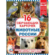 Карточки обучающие Умка Животные России 16 карточек арт.4690590141342