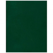 Тетрадь А4 клетка 96 листов бумвинил скоба второй блок (BG) зеленый арт.Т4бв96кЭ_12343