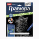 Гравюра А4 Animals Котенок Мейн-кун (LORI) арт.Гр-531