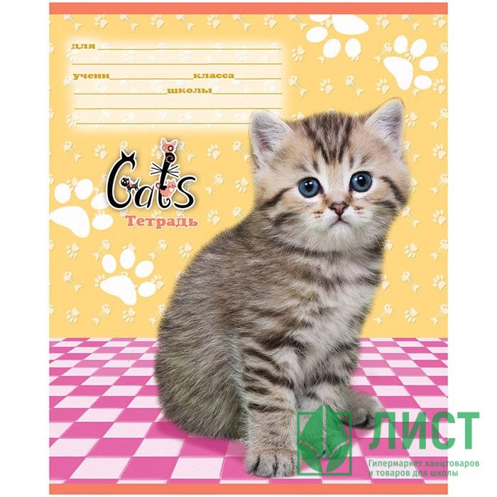 Тетради с котиками. , частая косая линия bg "всегда улыбайся", блестки, ассорти. Обложка на тетрадь с кошкой. Тетрадь а5 24 л. Тетрадки с котятами.