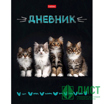 Дневник школьный твердая обложка (Hatber) Кошачий дозор арт.40ДТ5В_27105 Дневник школьный твердая обложка (Hatber) Кошачий дозор арт.40ДТ5В_27105