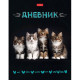 Дневник школьный твердая обложка (Hatber) Кошачий дозор арт.40ДТ5В_27105