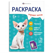 Раскраска А5 с наклейками Породы Коты Феникс арт.71530