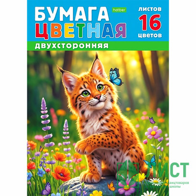 Цветная бумага А4 16 листов 16 цветов немелованная двухсторонняя Hatber Рысенок на скобе арт.16Бц4_36117 Цветная бумага А4 16 листов 16 цветов немелованная двухсторонняя Hatber Рысенок на скобе арт.16Бц4_36117