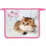 Папка школьная для тетрадей А5 на молнии (Оникс) Cute kitty арт ПТ-735 дизайн с двух сторон