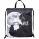 Сумка для сменной обуви 1 отделение deVENTE Серебряная Луна (Silver Moon) 38х43 см арт.7040615