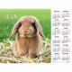 Календарь настенный листовой 2023г А2 "Год кролика" Хатбер арт.Кл2_27160