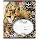 Тетрадь 24 листа линия (ErichKrause) Wild Cat ассорти арт 49218