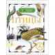 Книжка твердая обложка А5 Детская энциклопедия Птицы (Росмэн) арт 13448