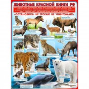 Плакат А2 Животные красной книги РФ арт Р2-283