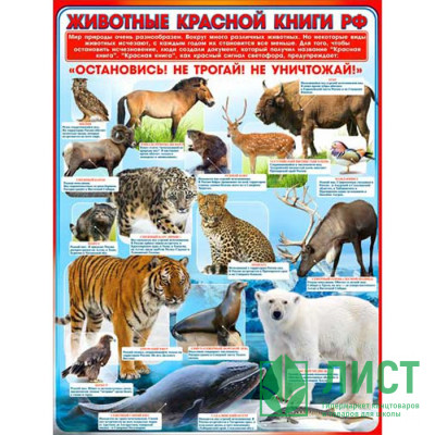 Плакат А2 Животные красной книги РФ арт Р2-283 Плакат А2 Животные красной книги РФ арт Р2-283