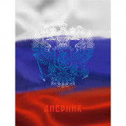 Дневник школьный  твердая обложка (Listoff) Дневник российского школьника Дизайн 4 глянцевая ламинация арт.ДУ254002