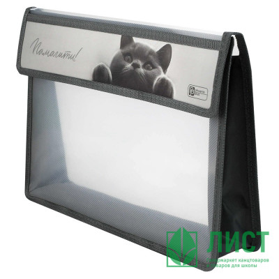 Папка школьная для тетрадей А4 на липучке 1отделение Феникс Британский кот арт.73700 Папка школьная для тетрадей А4 на липучке 1отделение Феникс Британский кот арт.73700