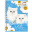 Записная книжка А6 мягкая обложка на гребне 80 листов (Hatber) Милые котята арт 80ЗК6B1гр - 