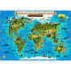 Карта мира настенная для детей Животный и растительный мир Земли 60*40 1:35 интерактивная ламинированная арт КН031