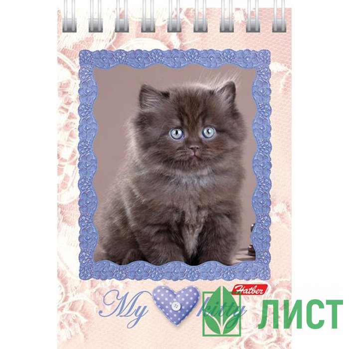 Блокнот А7 мягкая обложка на гребне 40 листов Hatber Котята клетка арт 40Б7B1гр