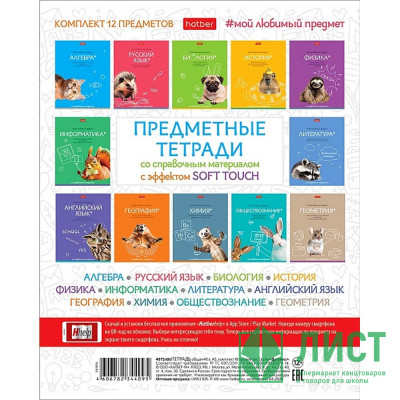 Комплект предметных тетрадей 12 штук 48 листов (Hatber) Мой любимый предмет арт.48Т5лВd Комплект предметных тетрадей 12 штук 48 листов (Hatber) Мой любимый предмет арт.48Т5лВd