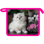 Папка шк. д/тетр. А5 на молнии "Котенок Kitty" (Ст.25)