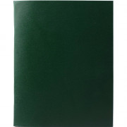 Тетрадь А5 клетка 96 листов бумвинил скоба второй блок (BG) зеленый арт.Т5бв96кЭ_12334