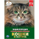 Энциклопедия с заданиями Кошки и котята Умка 197х255 мм арт.978-5-506-02698-3