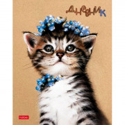 Дневник школьный твердая обложка (Hatber) Котенок в веночке арт 40ДТ5В_24242