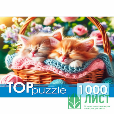 Пазл 1000 элементов TOPpuzzle Два котенка в корзине РК арт.ХТП1000-8739 Пазл 1000 элементов TOPpuzzle Два котенка в корзине РК арт.ХТП1000-8739
