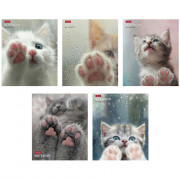 Тетрадь А5 клетка 48 листов скоба (Hatber) Розовые лапки ассорти арт.48Т5В1