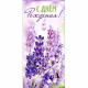 *Открытка-конверт "С Днем Рождения" арт.90-3629-T