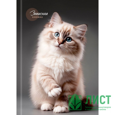 Записная книжка А5 твердая обложка 160 листов (Prof-Press) Красивый кот-1 глянцевая ламинация лён клетка арт.160-9424 Записная книжка А5 твердая обложка 160 листов (Prof-Press) Красивый кот-1 глянцевая ламинация лён клетка арт.160-9424