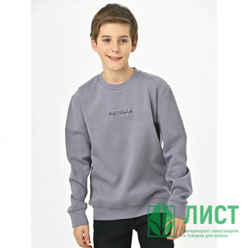 Толстовка для мальчика (CEGISA) артикул 4746 размерный ряд 42/158-46/170 цвет серый Толстовка для мальчика (CEGISA) артикул 4746 размерный ряд 42/158-46/170 цвет серый