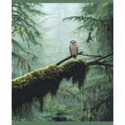 Тетрадь А5 клетка 48 листов скоба (Маяк) Природа Туман арт.Т-5048 К2