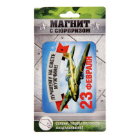 Магнит С Днем Храбрости!