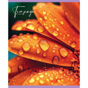 Тетрадь А5 клетка 48 листов скоба (Маяк) Цветы Макро арт.Т-5048 К2