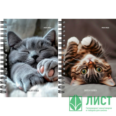 Записная книжка А6 мягкая обложка на гребне 120 листов Prof-Press Милые котики-6 глянцевая ламинация арт.ЗК120-3019 Записная книжка А6 мягкая обложка на гребне 120 листов Prof-Press Милые котики-6 глянцевая ламинация арт.ЗК120-3019