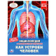 Энциклопедия с заданиями А4 Как устроен человек (Умка) арт.978-5-506-04948-7