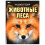 Энциклопедия А4 Животные леса (Умка) арт.978-5-506-09108-0 - 