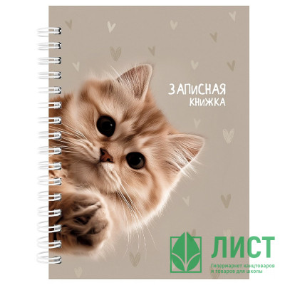 Записная книжка А6 твердая обложка на гребне 80 листов (Prof-Press) Забавный котик-3 глянцевая ламинация арт.80-9512 Записная книжка А6 твердая обложка на гребне 80 листов (Prof-Press) Забавный котик-3 глянцевая ламинация арт.80-9512
