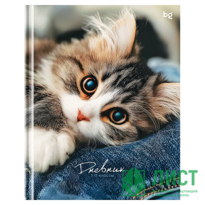Дневник школьный твердая обложка BG Мур матовая ламинация арт.Д5т48_лм 62215 Дневник школьный твердая обложка BG Мур матовая ламинация арт.Д5т48_лм 62215