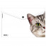Папка-конверт на кнопке А4 (ErichKrause) 160мкм Hiding Cats ассорти арт.61155 - 