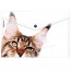 Папка-конверт на кнопке А4 (ErichKrause) 160мкм Hiding Cats ассорти арт.61155 - 