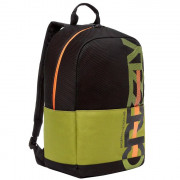 Рюкзак для мальчиков (Grizzly) арт RQ-210/1 черный-оливковый 27х43х15см