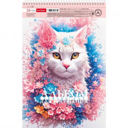 Альбом для рисования 24 листа спираль перфорация на отрыв (Hatber) Spring cat ассорти арт.24А4Всп