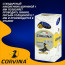 Ручка шариковая прозрачный корпус (Corvina) синий 0,7мм арт.40163/02(Ст.50) - 
