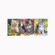 Блокнот А6 мягкая обложка на гребне 40 листов (Hatber) Милые котята арт 40Б6В1гр