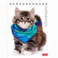 Блокнот А6 мягкая обложка на гребне 40 листов (Hatber) Милые котята арт 40Б6В1гр - 