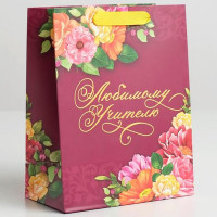Пакет подароч.бумаж.18*23*10см «Любимому Учителю» арт.5284118